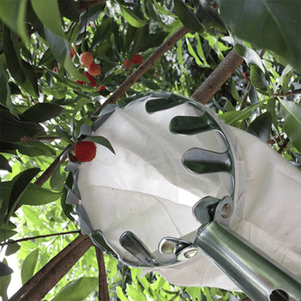 Fruit Picker Head Basket(Diameter 16CM)